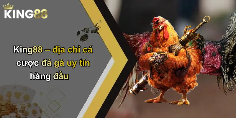King88 – địa chỉ cá cược đá gà uy tín hàng đầu